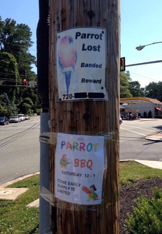 28parrotbbq.jpg