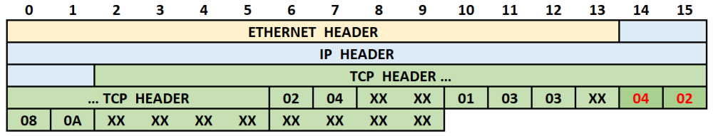 Fig8-TCP-headers.thumb.png.65371f0ebb074bc3240a4059982ea0e6.png