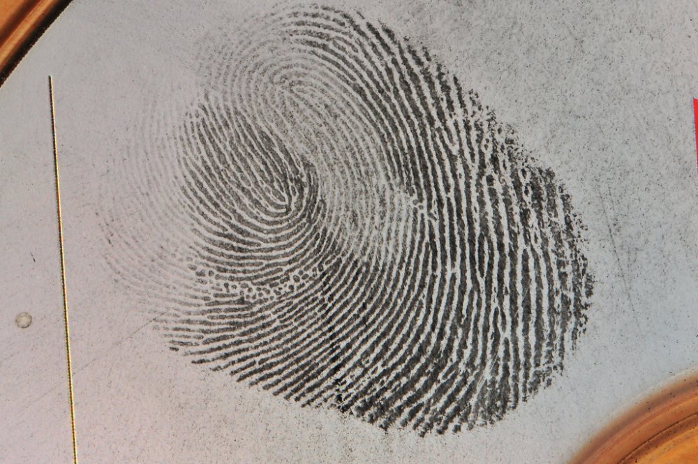 fingerprint.jpg