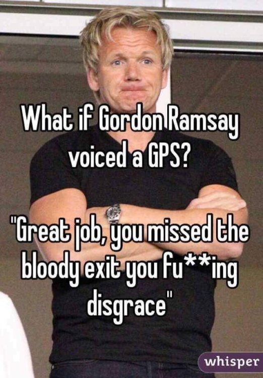 gordon.jpg