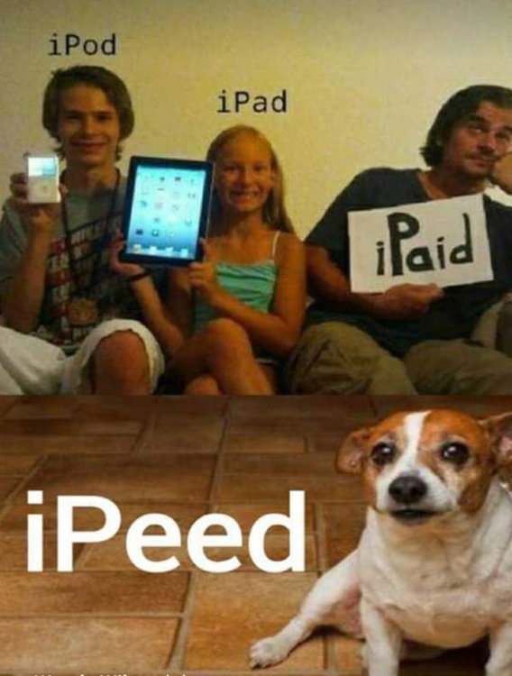 ipaid.jpg