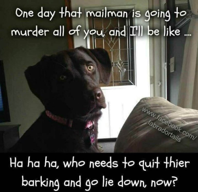 mailman.jpg